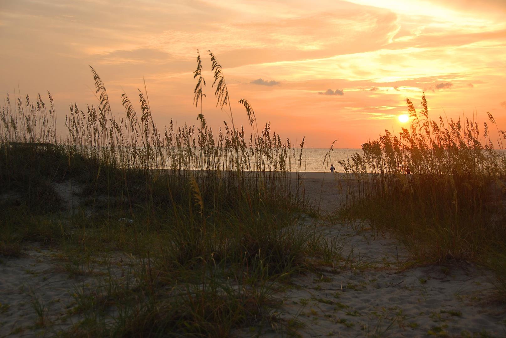 Our Top Georgia Reunion Destinations