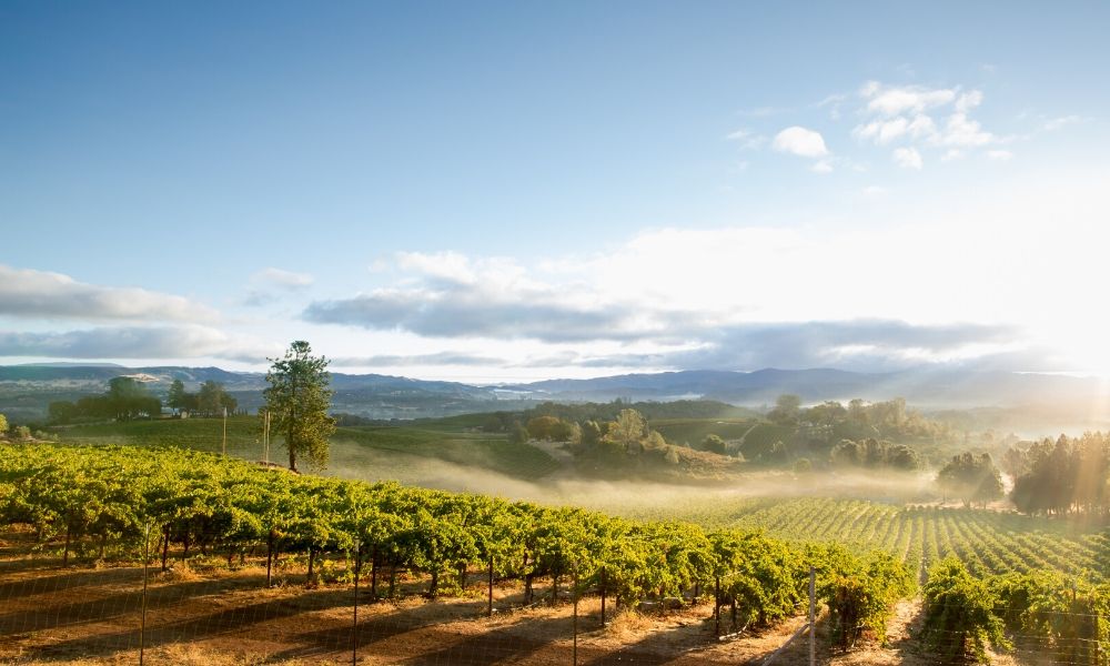 5 of the Most Beautiful Destinations for Wine-Lovers